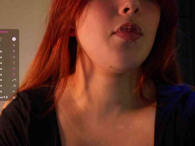 _Q_ webcam