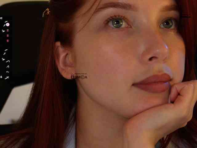 _Q_ webcam
