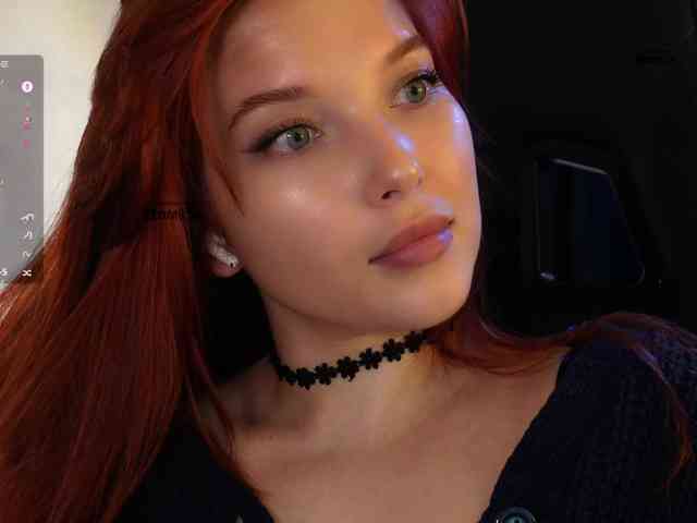 _Q_ webcam