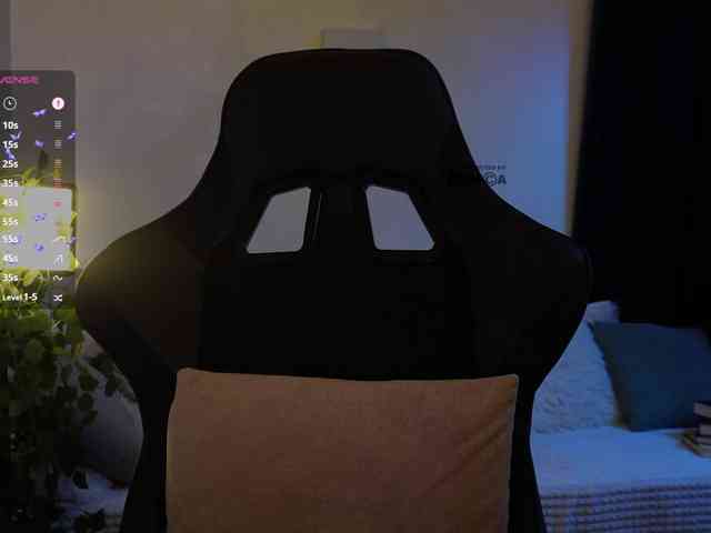 _Q_ webcam