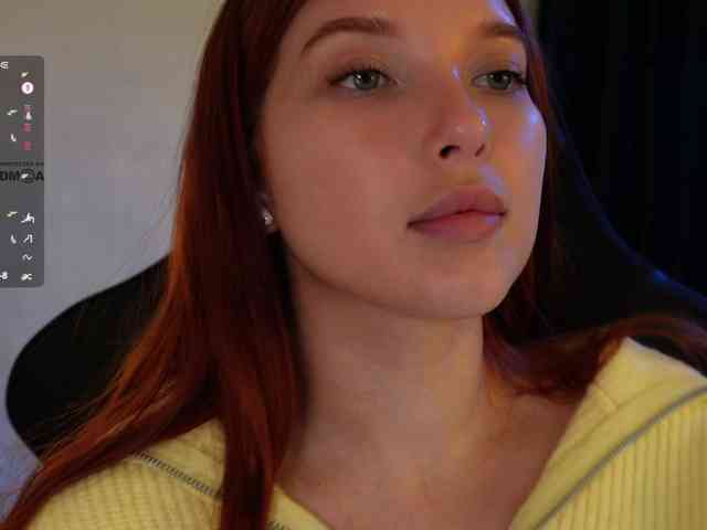 _Q_ webcam