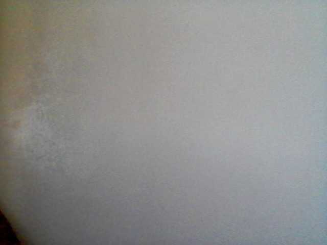 rakisha1