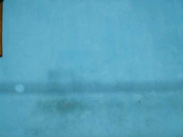 rakisha1 Live Cam on BongaCams