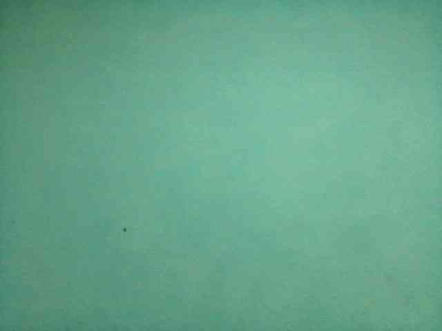 rakisha1 webcam