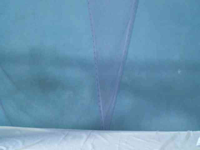 rakisha1 webcam