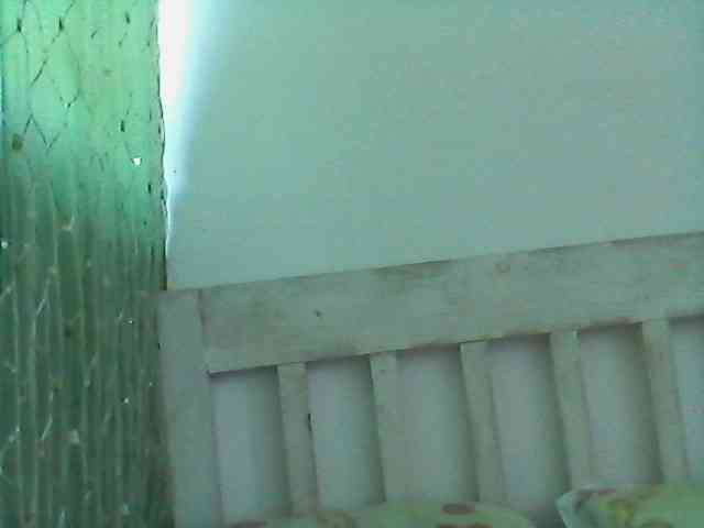 rakisha1 webcam