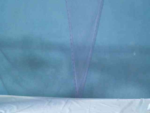 rakisha1 webcam