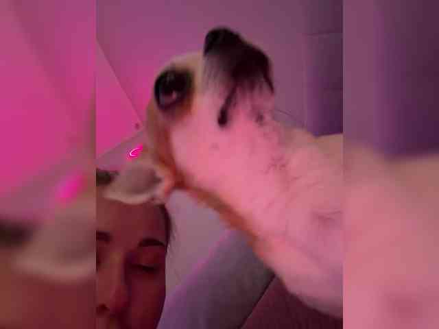 KateMid webcam