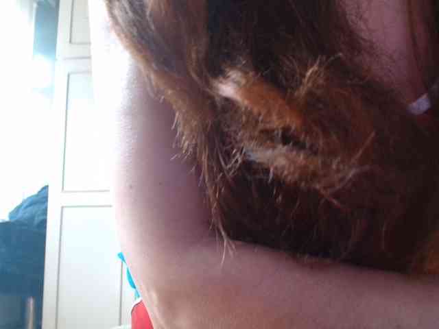 Magiee webcam