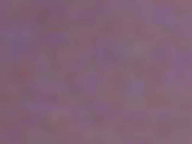 SeinsDeReve
