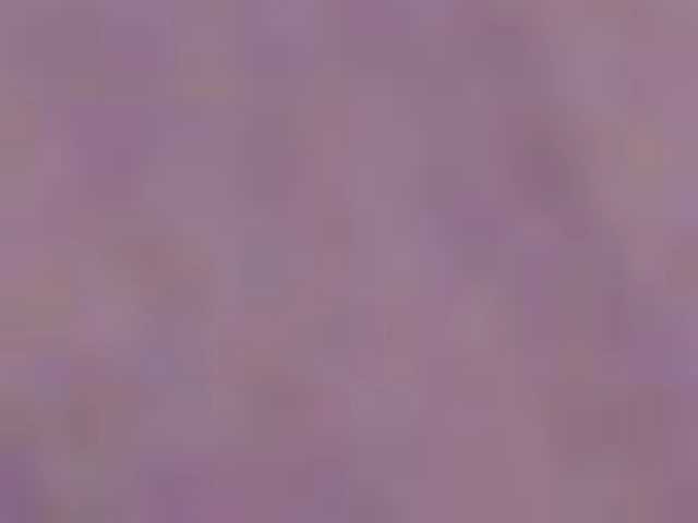 seinsdereve