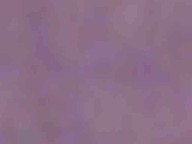 SeinsDeReve webcam