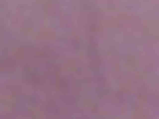 SeinsDeReve webcam