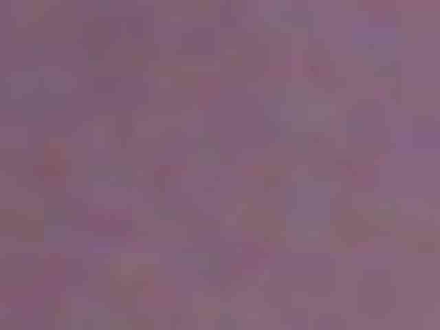 seinsdereve