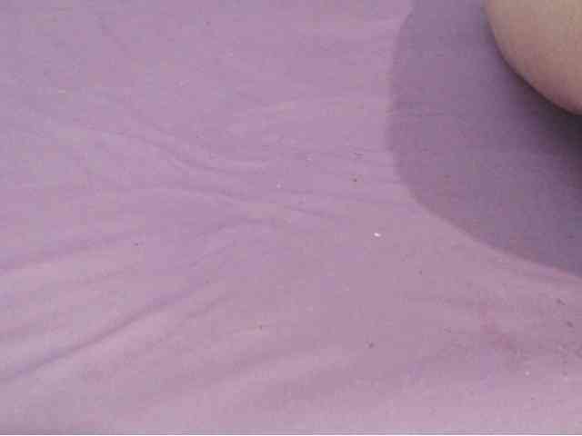 SeinsDeReve webcam