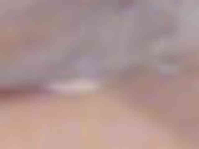 SeinsDeReve webcam