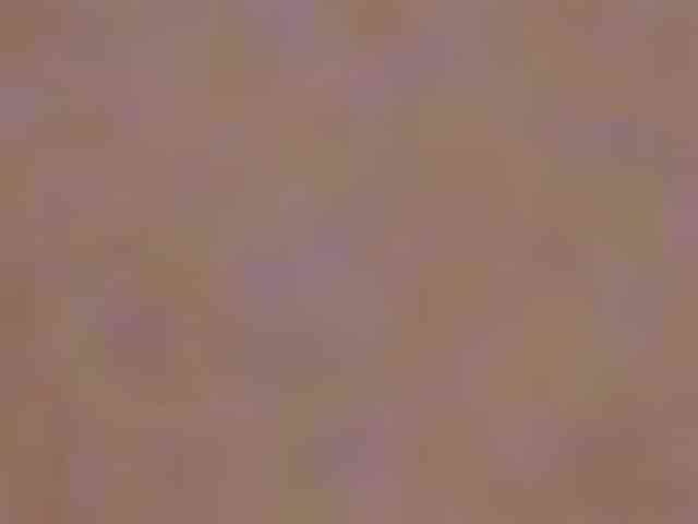 SeinsDeReve
