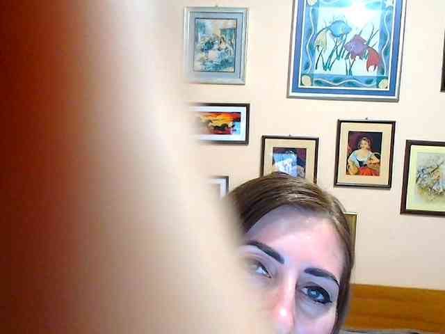 Evarette webcam
