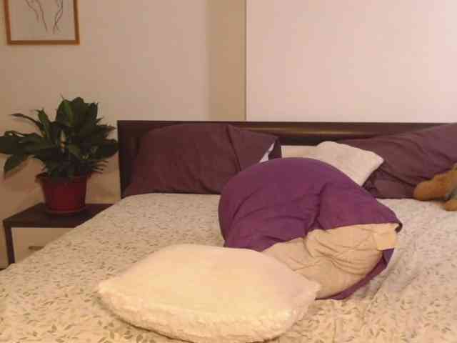 Lutetia webcam