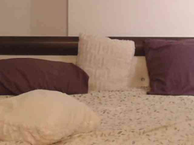 Lutetia webcam