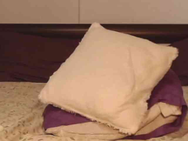 Lutetia webcam