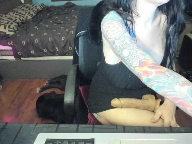 VenusX1 live cam preview