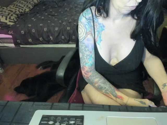 venusx1, live now on BongaCams