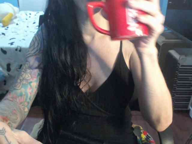 VenusX1 webcam