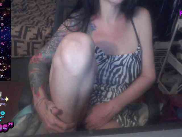 VenusX1 webcam