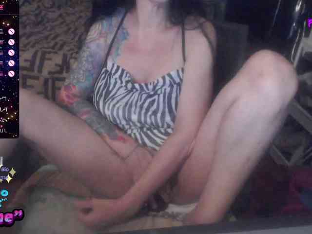 VenusX1 webcam