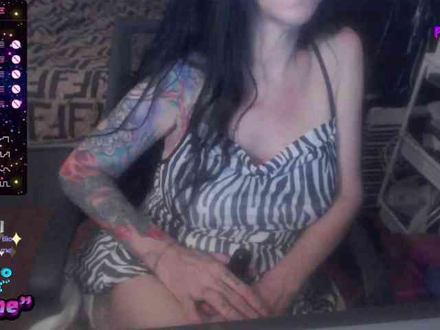VenusX1 webcam