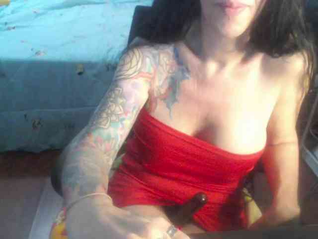 venusx1 venusx1