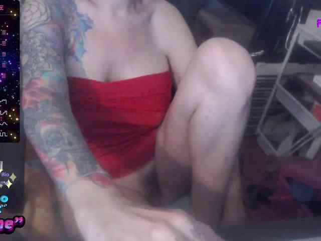 VenusX1 webcam