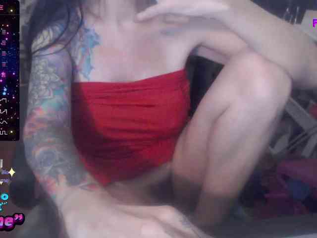 VenusX1 webcam