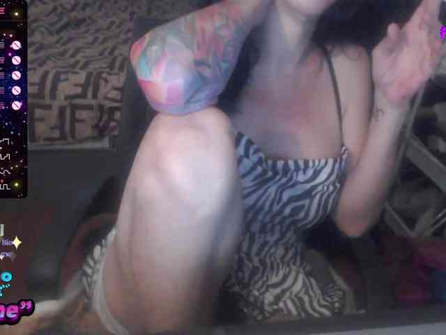 VenusX1 webcam