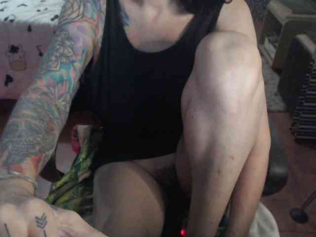 VenusX1 webcam