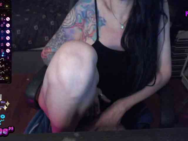 VenusX1 webcam