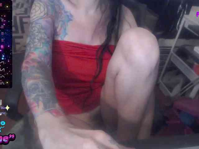 VenusX1 webcam