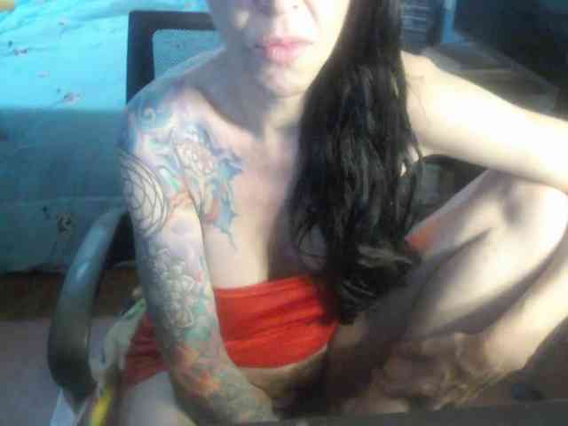 VenusX1 webcam