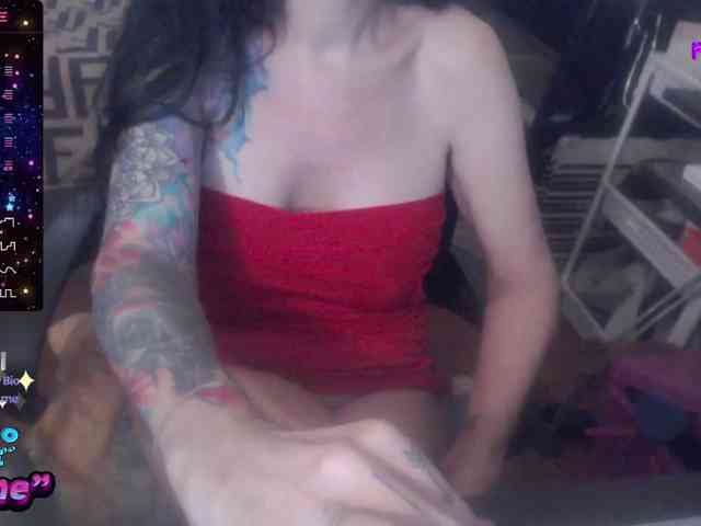 VenusX1 webcam