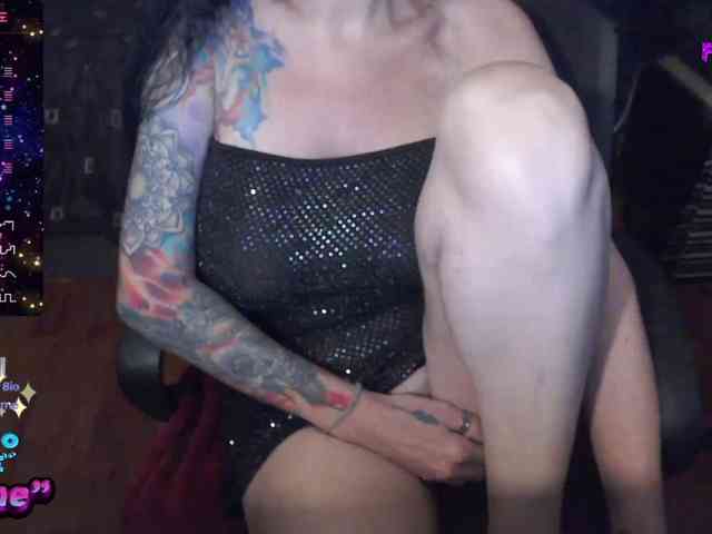 VenusX1 webcam