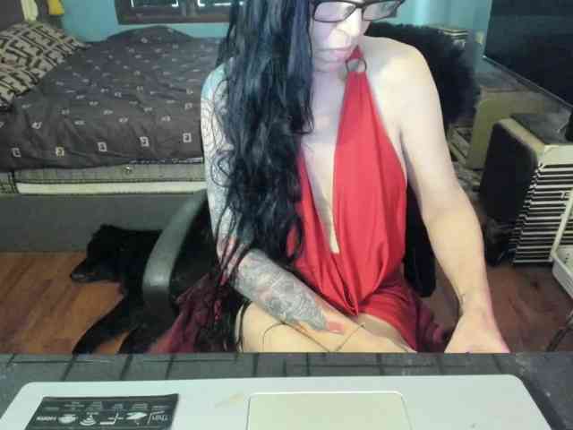 VenusX1