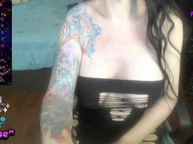 VenusX1 webcam