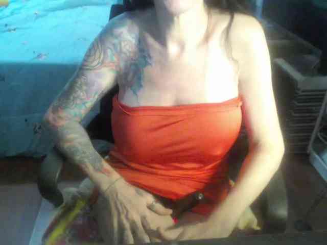 venusx1 venusx1