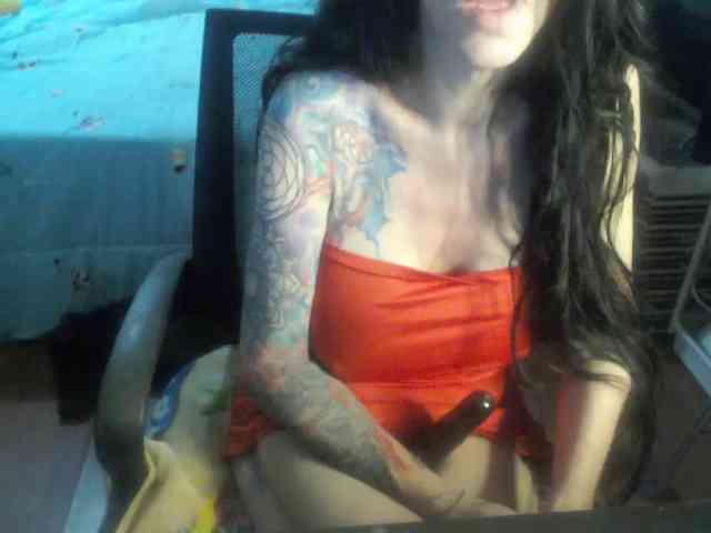 VenusX1 webcam