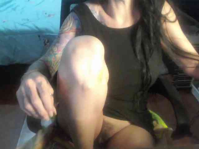 VenusX1