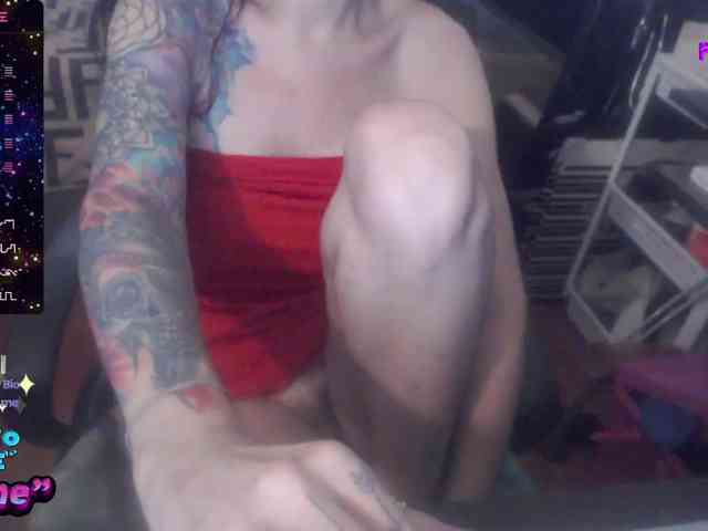 VenusX1 webcam