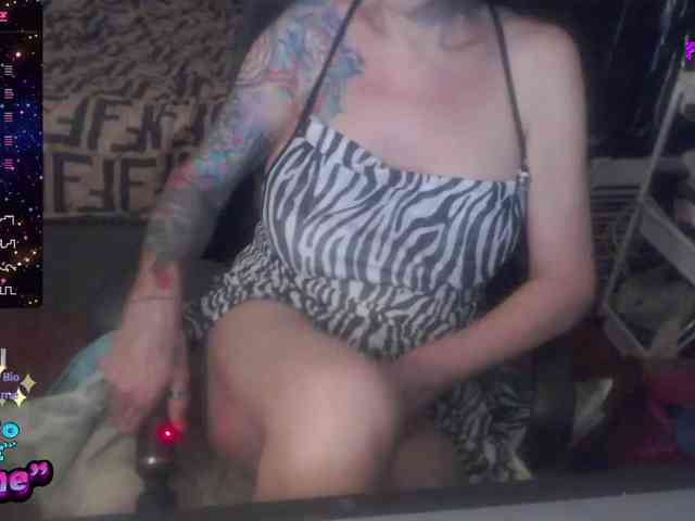 VenusX1 webcam