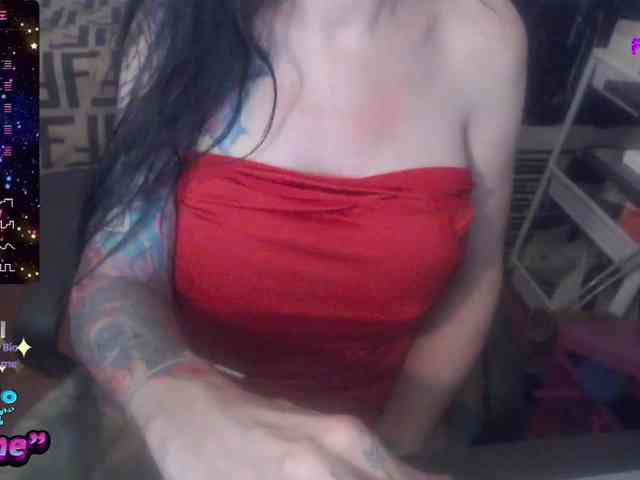 VenusX1 webcam