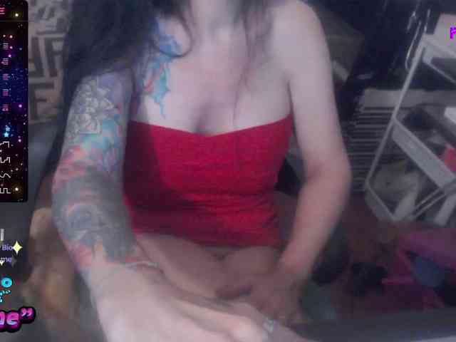 VenusX1 webcam